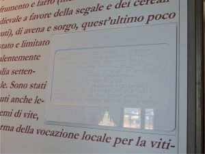 1 www.museoarcheosavona.it particolare con tabella Braille