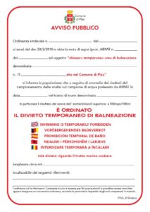 Pisa 4